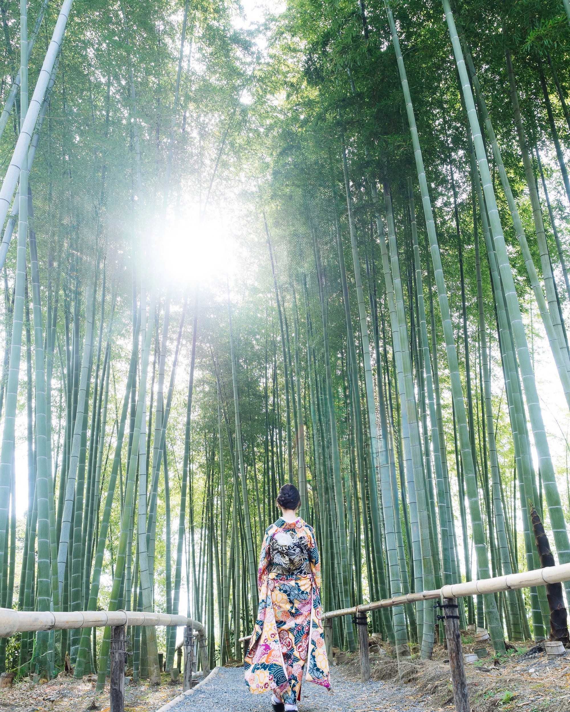 Kyoto & Nara · 7 Nights · Private Ryokan