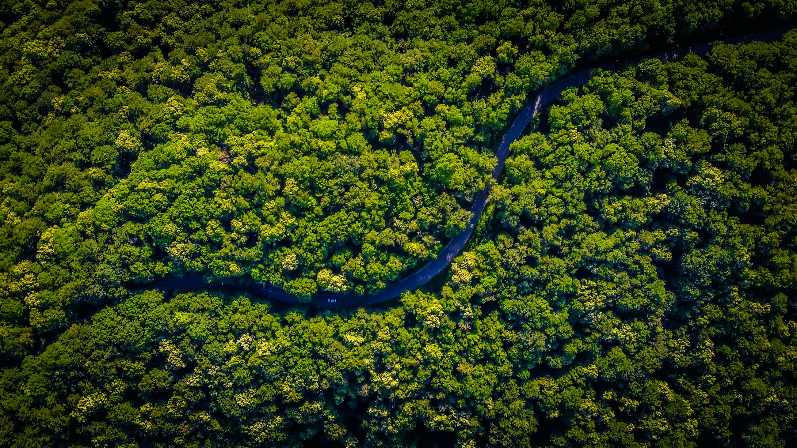 Tambopata · 6 Nights · Jungle Lodge